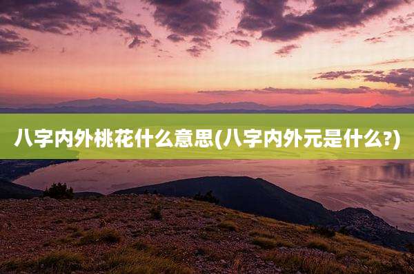 八字内外桃花什么意思(八字内外元是什么?)