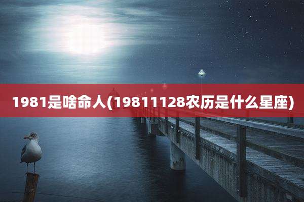 1981是啥命人(19811128农历是什么星座)