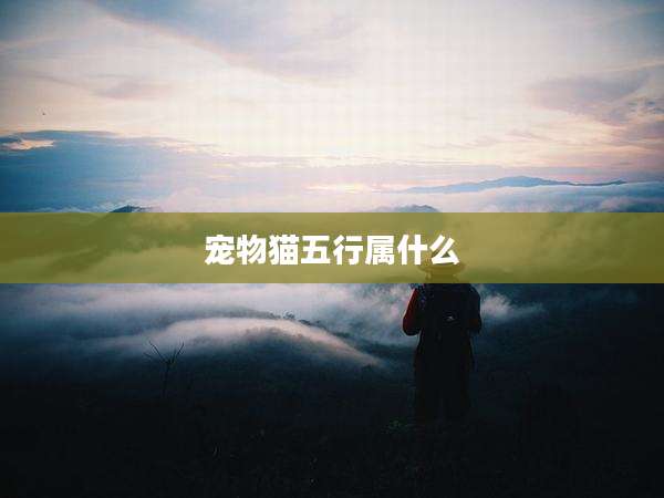 宠物猫五行属什么