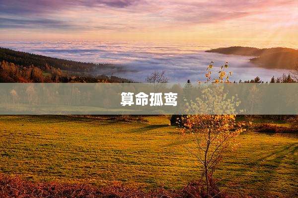 算命孤鸾