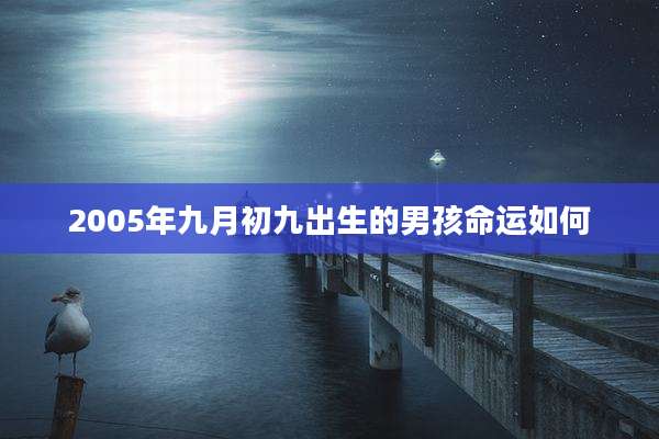 2005年九月初九出生的男孩命运如何