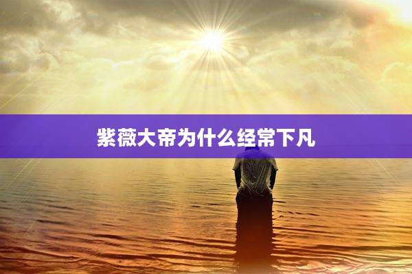 紫薇大帝为什么经常下凡
