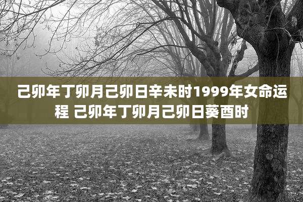 己卯年丁卯月己卯日辛未时1999年女命运程 己卯年丁卯月己卯日葵酉时