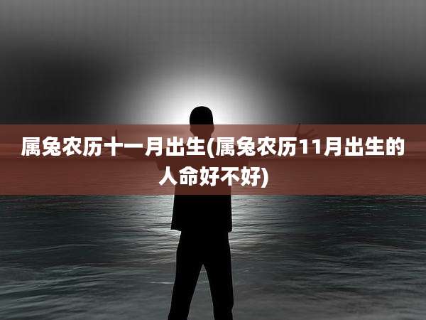 属兔农历十一月出生(属兔农历11月出生的人命好不好)