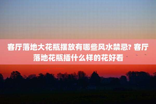 客厅落地大花瓶摆放有哪些风水禁忌? 客厅落地花瓶插什么样的花好看