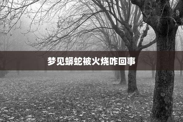 梦见蟒蛇被火烧咋回事
