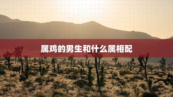 属鸡的男生和什么属相配
