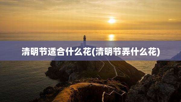 清明节适合什么花(清明节弄什么花)