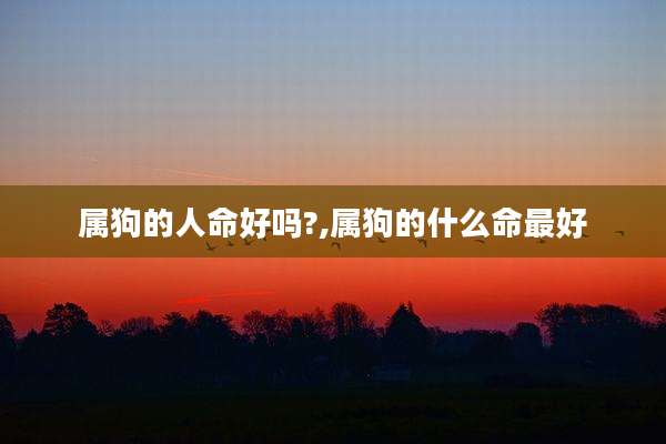 属狗的人命好吗?,属狗的什么命最好