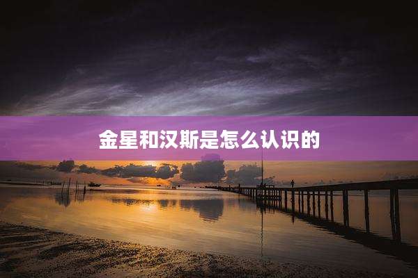 金星和汉斯是怎么认识的