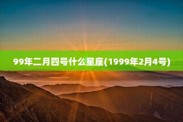 99年二月四号什么星座(1999年2月4号)