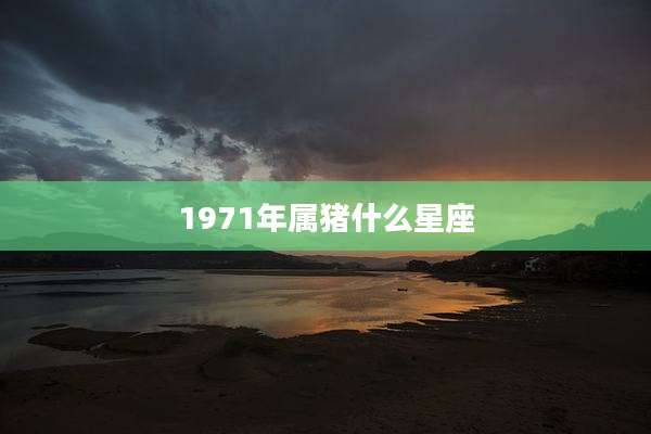 1971年属猪什么星座