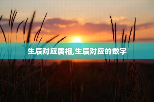 生辰对应属相,生辰对应的数字