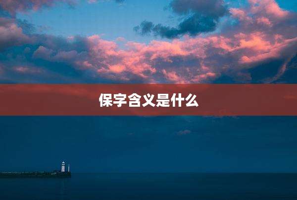 保字含义是什么