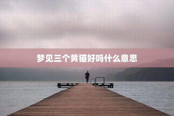 梦见三个黄猫好吗什么意思