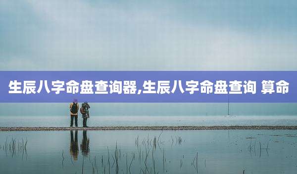 生辰八字命盘查询器,生辰八字命盘查询 算命