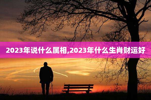 2023年说什么属相,2023年什么生肖财运好