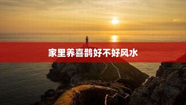 家里养喜鹊好不好风水