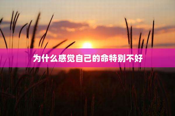 为什么感觉自己的命特别不好