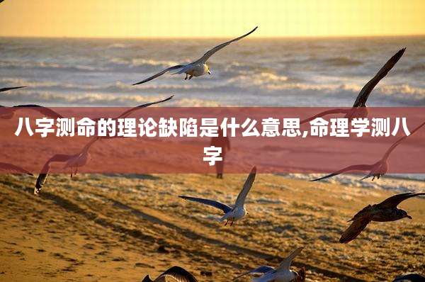 八字测命的理论缺陷是什么意思,命理学测八字