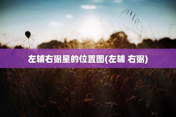 左辅右弼星的位置图(左辅 右弼)