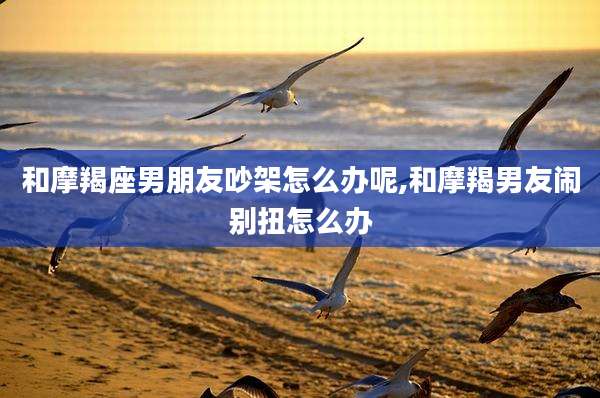 和摩羯座男朋友吵架怎么办呢,和摩羯男友闹别扭怎么办