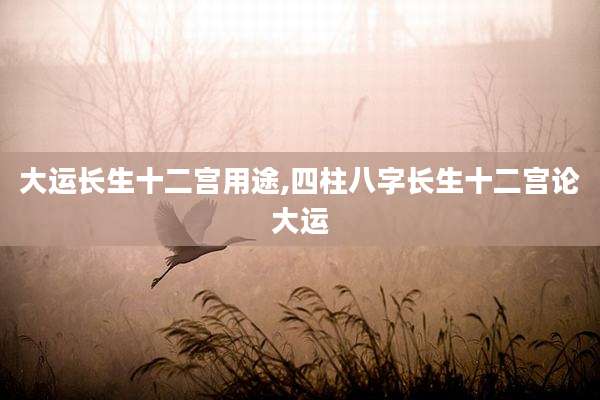 大运长生十二宫用途,四柱八字长生十二宫论大运
