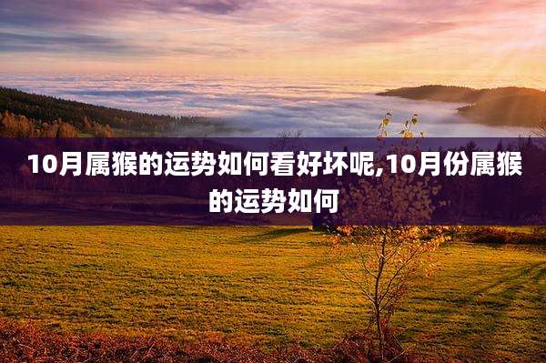 10月属猴的运势如何看好坏呢,10月份属猴的运势如何