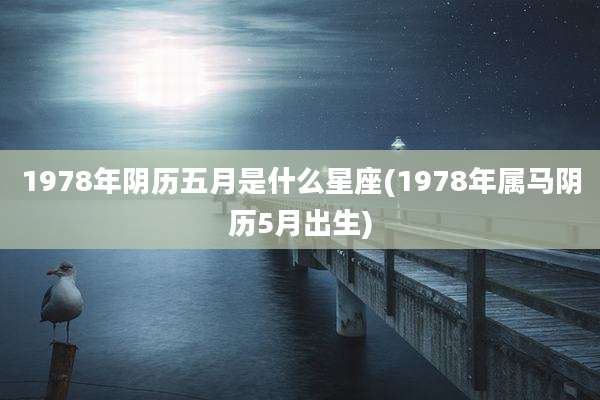 1978年阴历五月是什么星座(1978年属马阴历5月出生)
