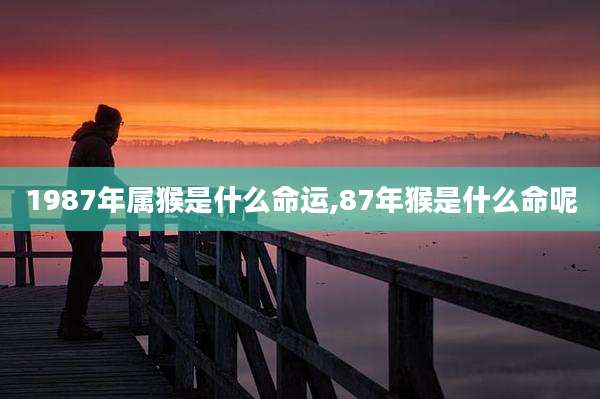 1987年属猴是什么命运,87年猴是什么命呢