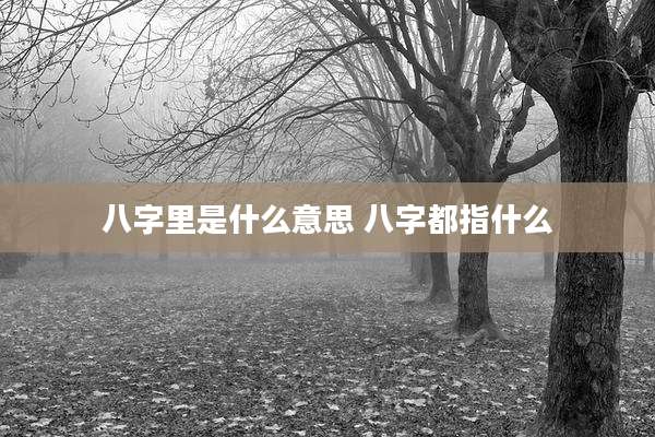 八字里是什么意思 八字都指什么