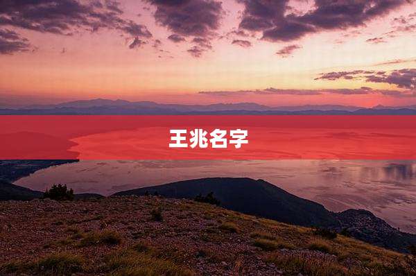 王兆名字