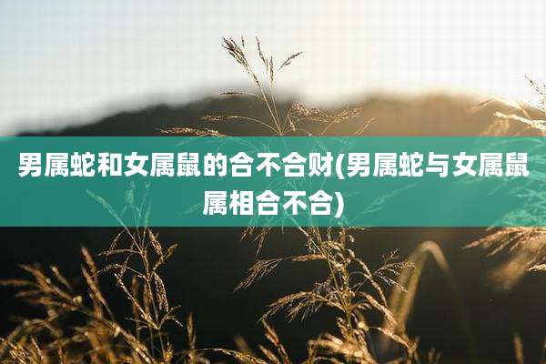 男属蛇和女属鼠的合不合财(男属蛇与女属鼠属相合不合)
