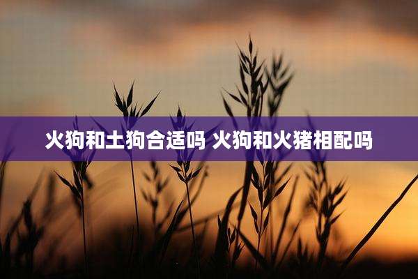 火狗和土狗合适吗 火狗和火猪相配吗