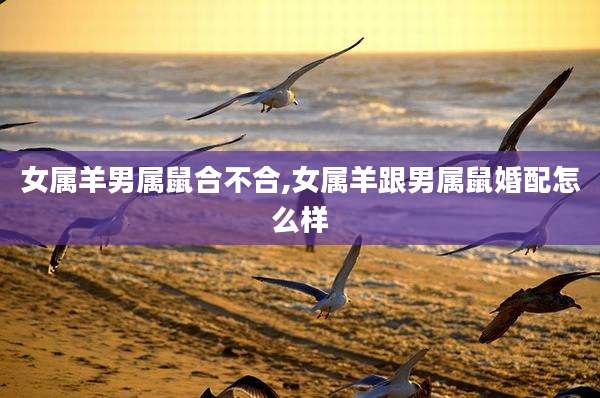 女属羊男属鼠合不合,女属羊跟男属鼠婚配怎么样