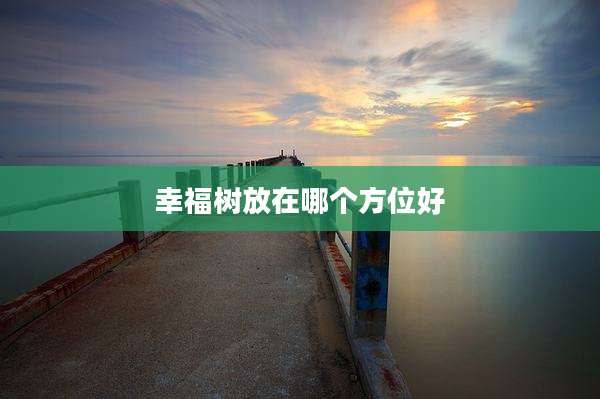 幸福树放在哪个方位好