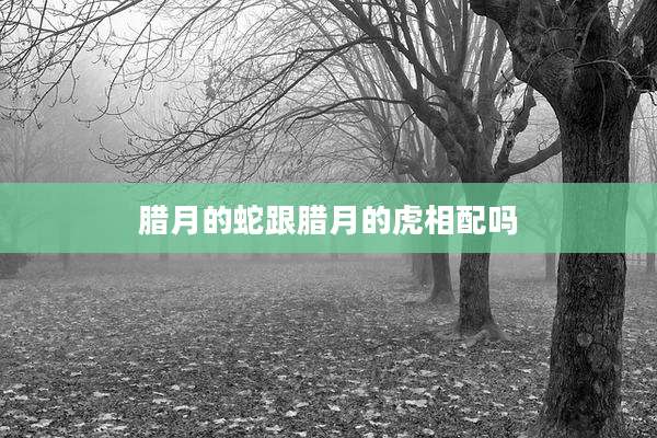 腊月的蛇跟腊月的虎相配吗