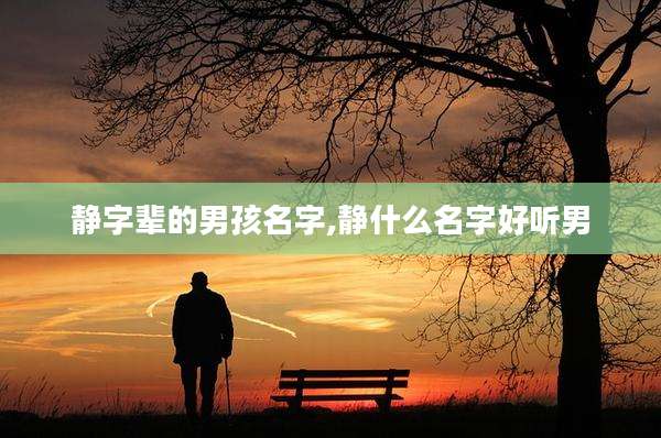 静字辈的男孩名字,静什么名字好听男