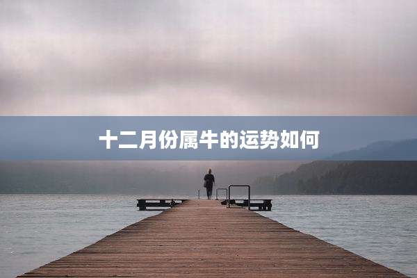 十二月份属牛的运势如何