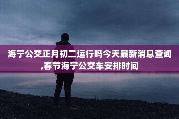 海宁公交正月初二运行吗今天最新消息查询,春节海宁公交车安排时间