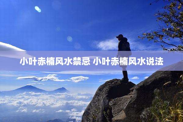 小叶赤楠风水禁忌 小叶赤楠风水说法
