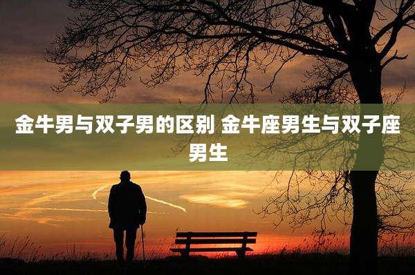 金牛男与双子男的区别 金牛座男生与双子座男生