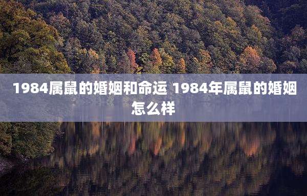 1984属鼠的婚姻和命运 1984年属鼠的婚姻怎么样