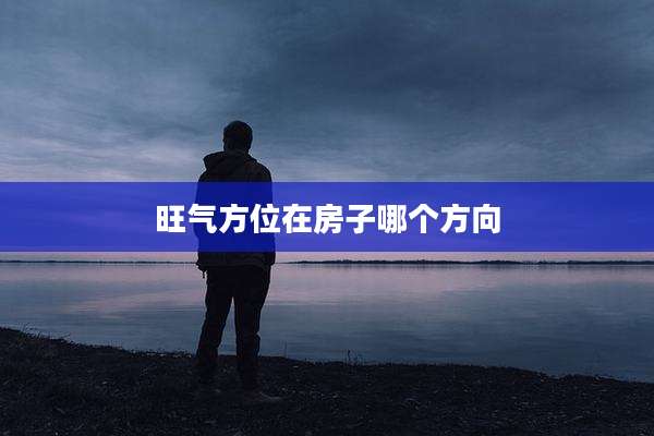 旺气方位在房子哪个方向