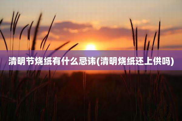 清明节烧纸有什么忌讳(清明烧纸还上供吗)