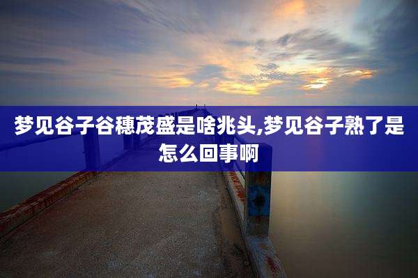 梦见谷子谷穗茂盛是啥兆头,梦见谷子熟了是怎么回事啊