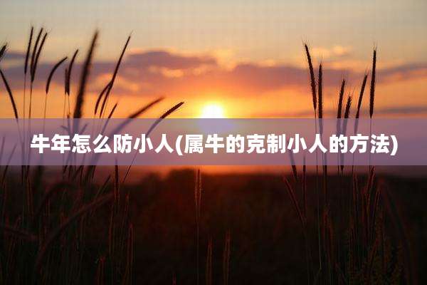 牛年怎么防小人(属牛的克制小人的方法)