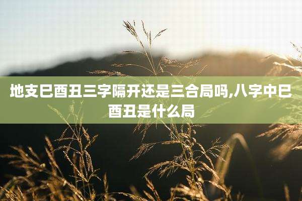 地支巳酉丑三字隔开还是三合局吗,八字中巳酉丑是什么局