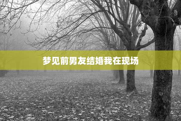 梦见前男友结婚我在现场
