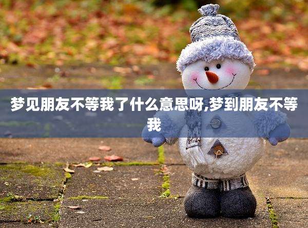 梦见朋友不等我了什么意思呀,梦到朋友不等我